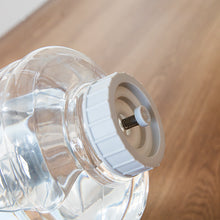 Load image into Gallery viewer, Automatic Pet Water Dispenser with 11.4 Liter Capacity, Gray