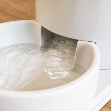 Load image into Gallery viewer, Automatic Pet Water Dispenser with 3.8 Liter Capacity, Gray