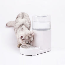 Load image into Gallery viewer, Automatic Pet Water Dispenser with 3 Liter Capacity, White