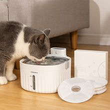 Load image into Gallery viewer, 2L Pet Water Fountain with 4 Filter Pack Combo