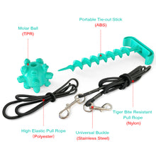 Load image into Gallery viewer, Dog Chew Ball Toy with Portable Tie-out Stick and Elastic Pull Rope Molar Ball