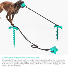Load image into Gallery viewer, Dog Chew Ball Toy with Portable Tie-out Stick and Elastic Pull Rope Molar Ball