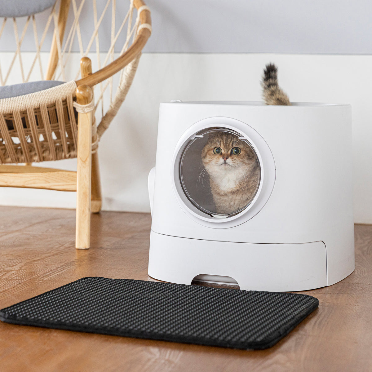 big cat litter box ragnarok mobile Extra Large Cat Litter Box with Scoop, Cat Litter Trapper Mat included –  HANAMYA