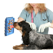 Load image into Gallery viewer, Pet Slow Treat Dispensing Mat Set ( 4-Plate) | Slow Feeder, Multi-color