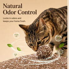 Load image into Gallery viewer, Tofu &amp; Cassava Cat Litter with Recycled Coffee Grounds, Natural Odor Control, Low Dust &amp; Strong Clumping, 5.5 lb
