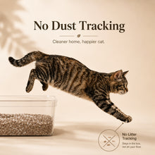 Load image into Gallery viewer, Tofu &amp; Cassava Cat Litter with Recycled Coffee Grounds, Natural Odor Control, Low Dust &amp; Strong Clumping, 5.5 lb
