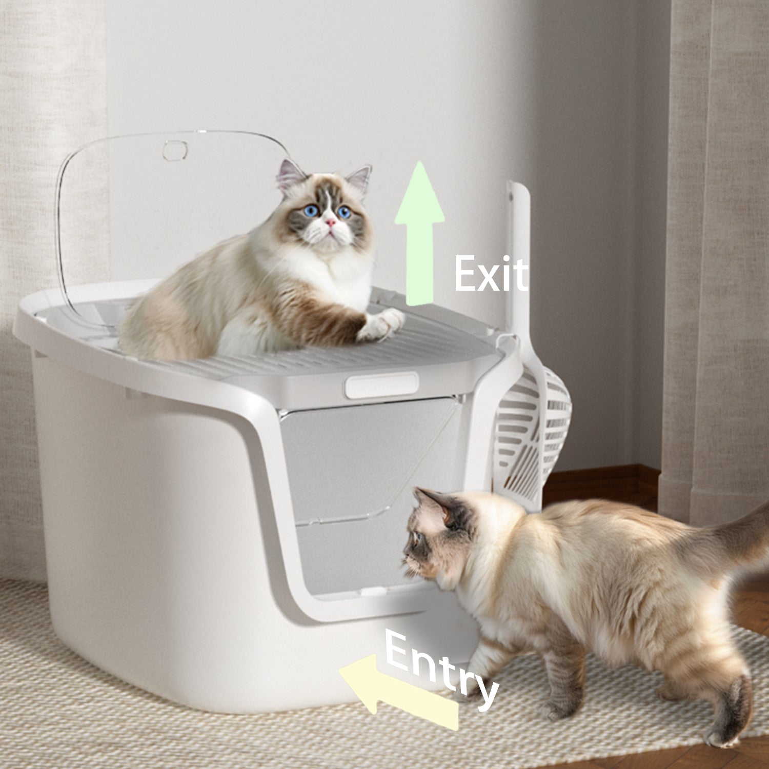 Seamless Molded Cat Litter Box with Scoop – HANAMYA