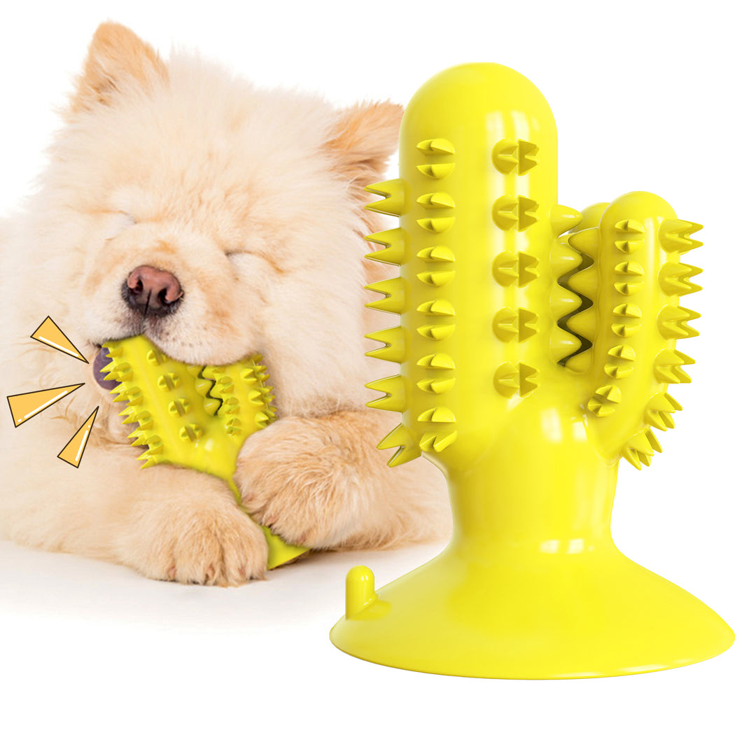 Toothbrush Dog Chew Toy with Rope