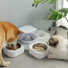 Load image into Gallery viewer, 3-in-1 Pet Feeder Set with Automatic Water Dispenser, for Puppy and Cat, White&amp;Gray
