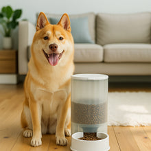 Load image into Gallery viewer, Automatic Pet Feeder, 5 Lbs Dog Food Capacity for Dogs and Cats
