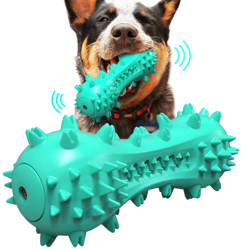 bone-shaped-toothbrush-dog-chew-toy-squeaky-water-floating