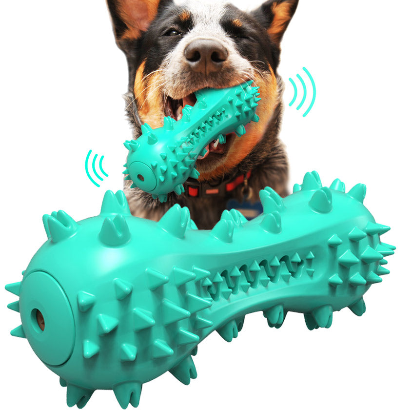 Bone-shaped Toothbrush Dog Chew Toy