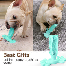 Load image into Gallery viewer, Toothbrush Dog Chew Toy Stand
