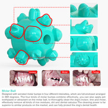 Load image into Gallery viewer, Dog Chew Ball Toy with Portable Tie-out Stick and Elastic Pull Rope Molar Ball
