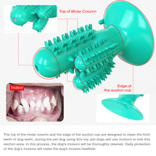 Load image into Gallery viewer, Cactus-shaped Toothbrush Dog Chew Toy
