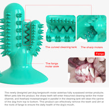 Load image into Gallery viewer, Cactus-shaped Toothbrush Dog Chew Toy
