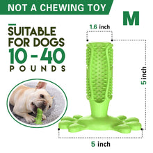 Load image into Gallery viewer, Toothbrush Dog Chew Toy Stand
