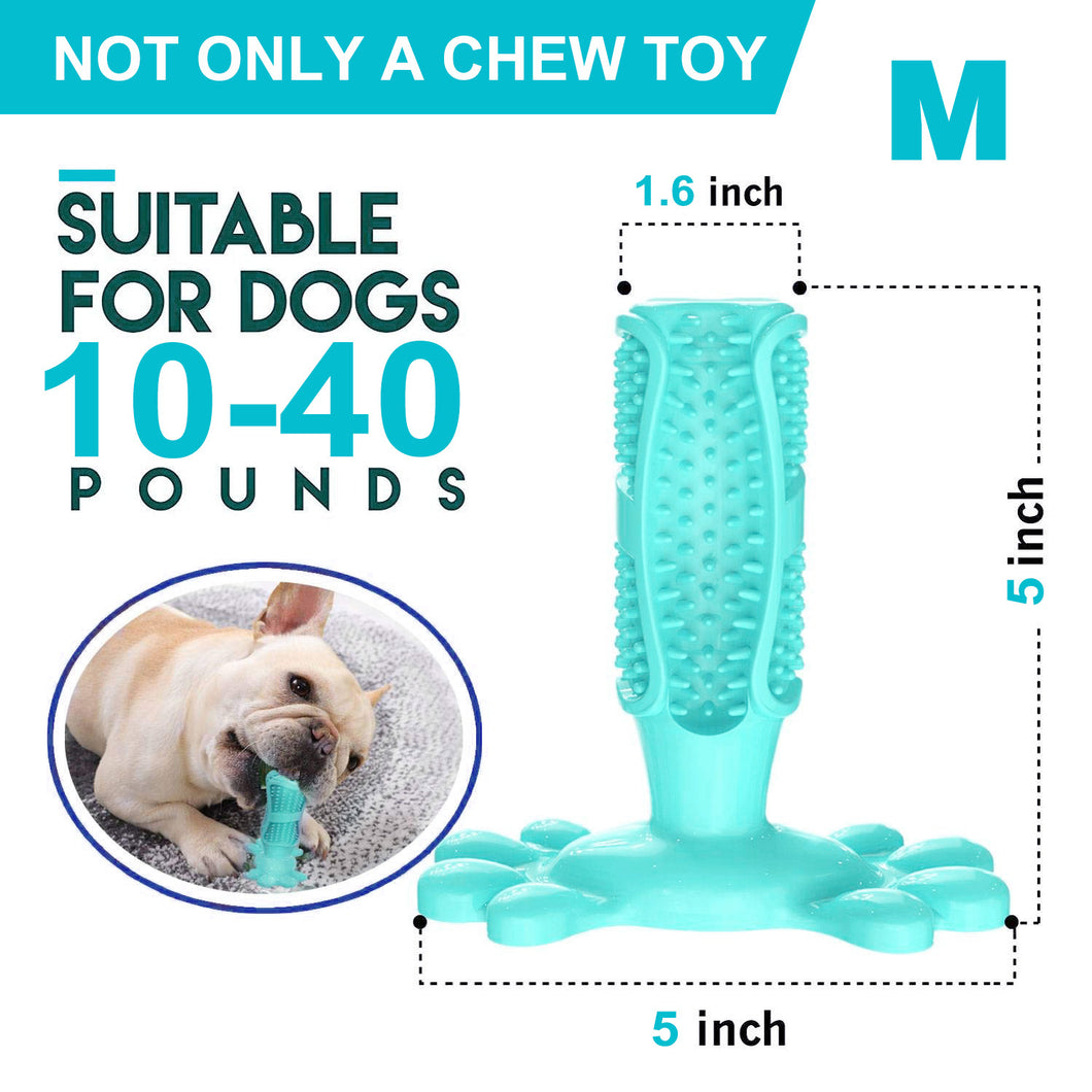 Toothbrush Dog Chew Toy Stand