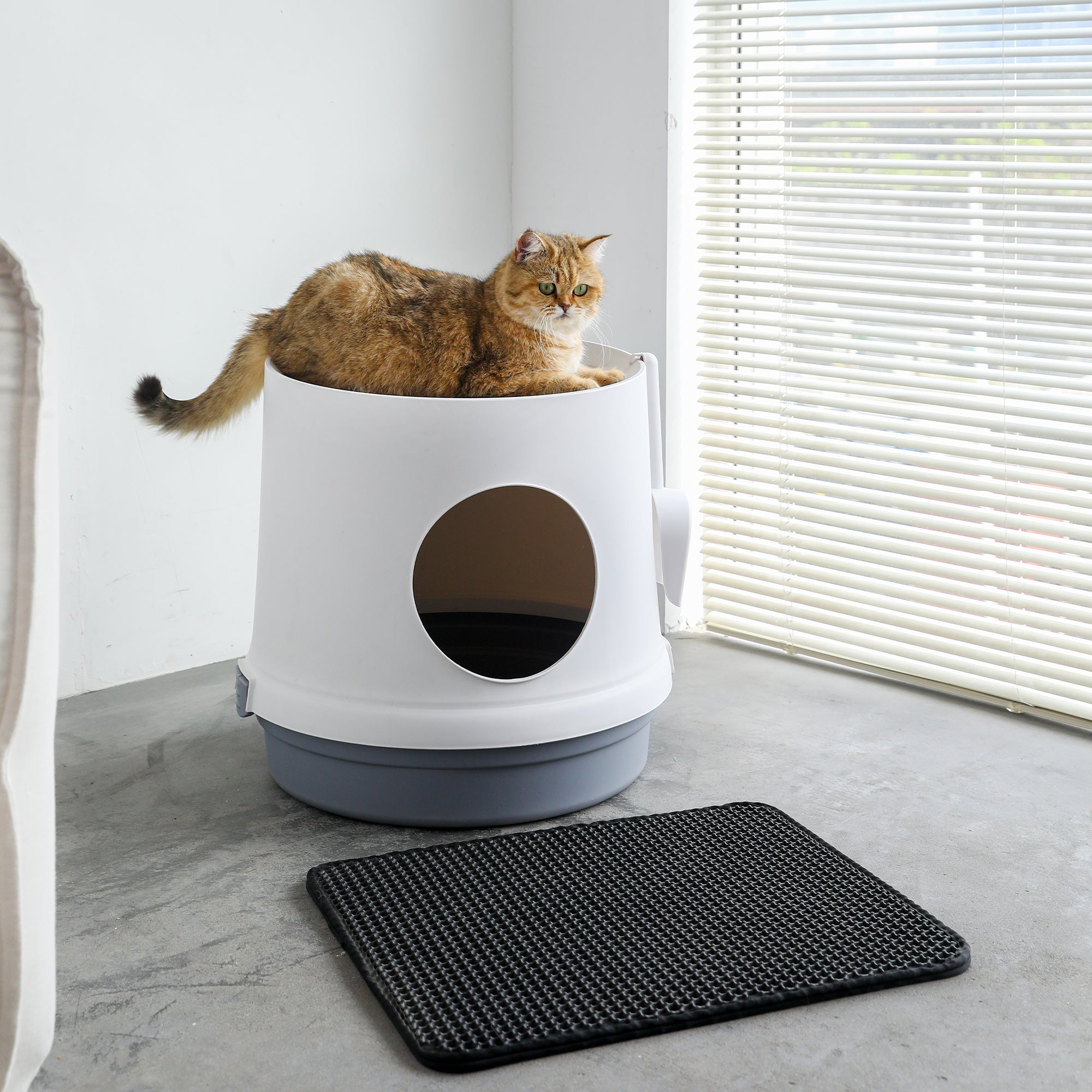 HANAMYA Cat Litter Box with Scoop and Scratcher, White&Gray