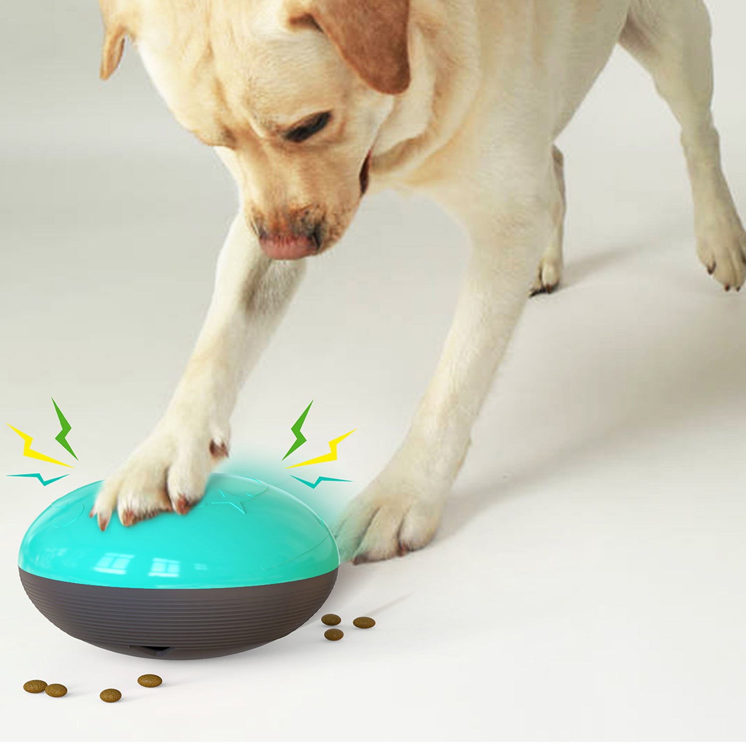 Pet Supplies : HANAMYA Dog Food/Treats Dispensing Container Toy