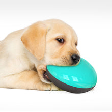 Load image into Gallery viewer, Interactive Pet Toy | Food/Treats Dispensing Toy | Dog Puzzle Toy | Squeaky Toy
