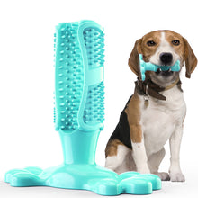 Load image into Gallery viewer, Toothbrush Dog Chew Toy Stand
